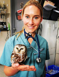 Dr. Camille Adams, DVM (Locum)